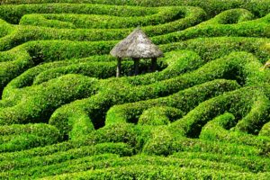 maze-511151_960_720 maze-511151_960_720